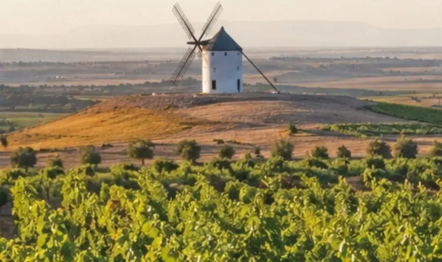 Vino DO  La Mancha: alma líquida de la tierra