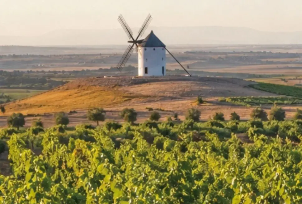 vino-la-mancha