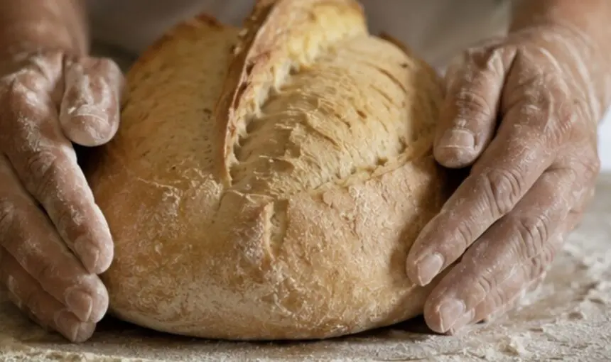 Pan de Alfacar: el sabor de la montaña panadera de Granada
