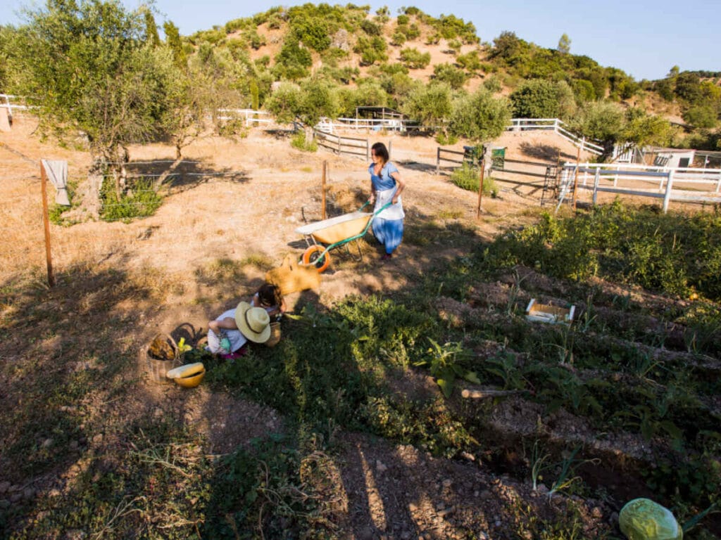 finca agricola (1)