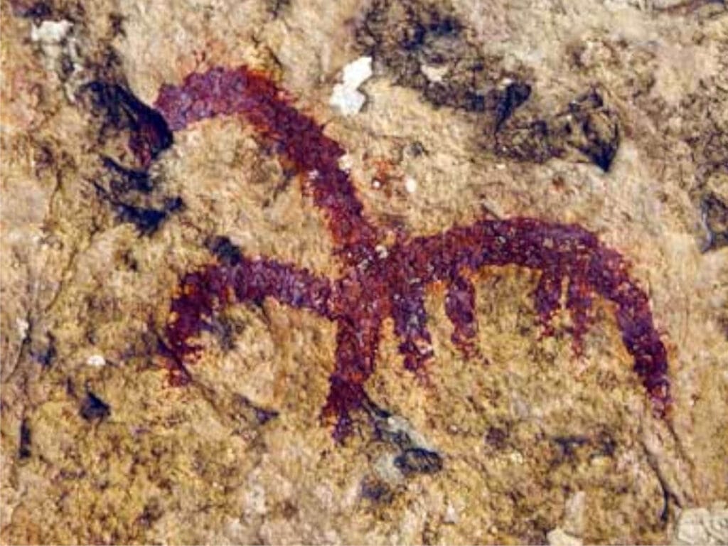 bus vino Somontano-mallata