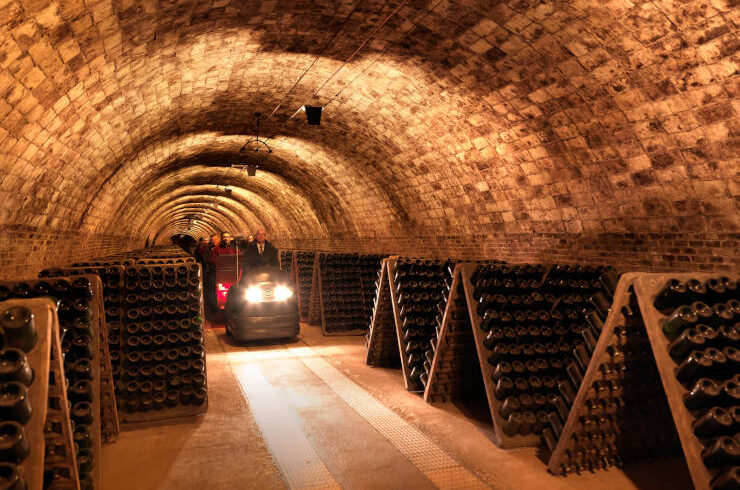 codorniu visita guiada