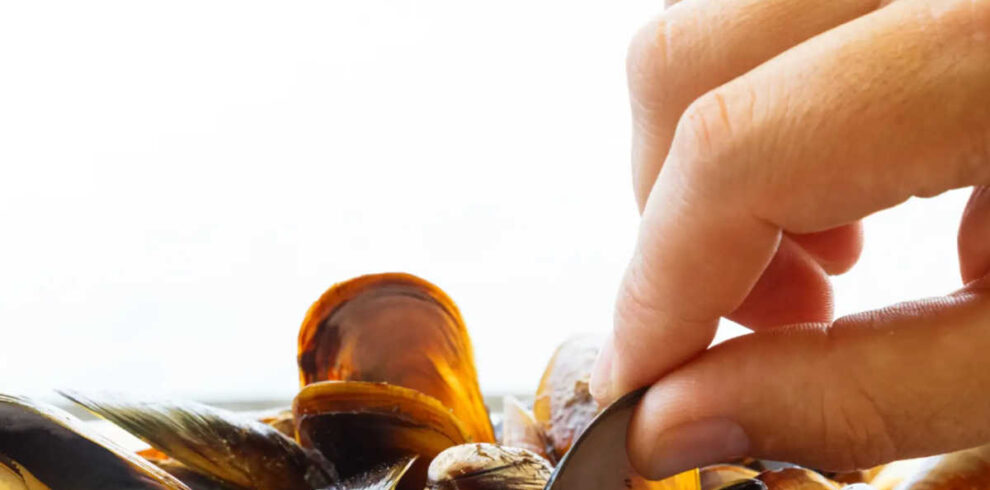 Barco o grove mejillones-1