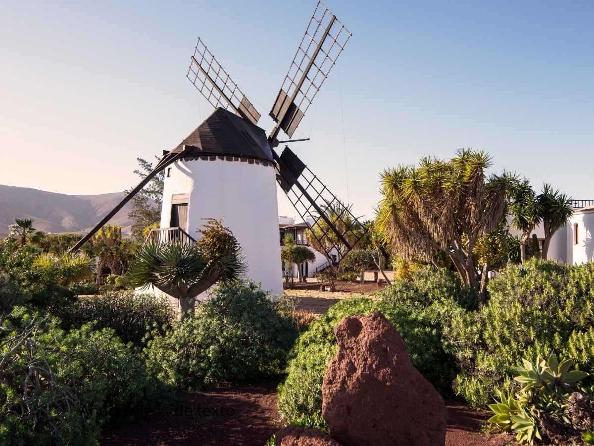 Gastronomía y sabores de Fuerteventura